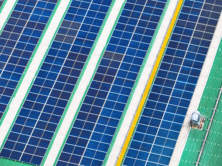 Jak wybrać odpowiedni panel fotowoltaiczny dla Twojej instalacji